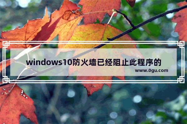 windows10防火墙已经阻止此程序的部分功能,win10安装程序被防火墙阻止