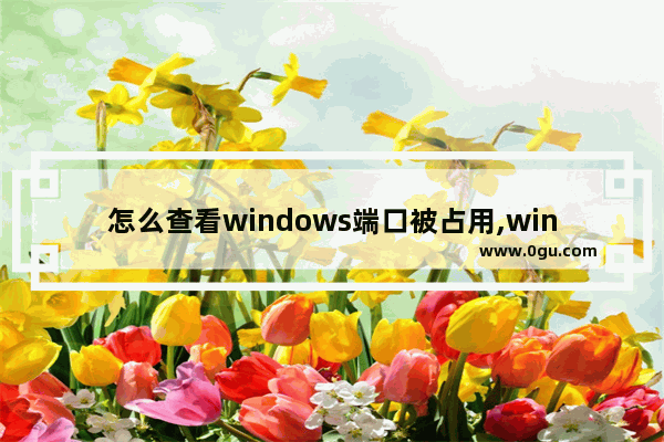怎么查看windows端口被占用,win10 查看端口占用