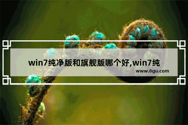 win7纯净版和旗舰版哪个好,win7纯净版好不好