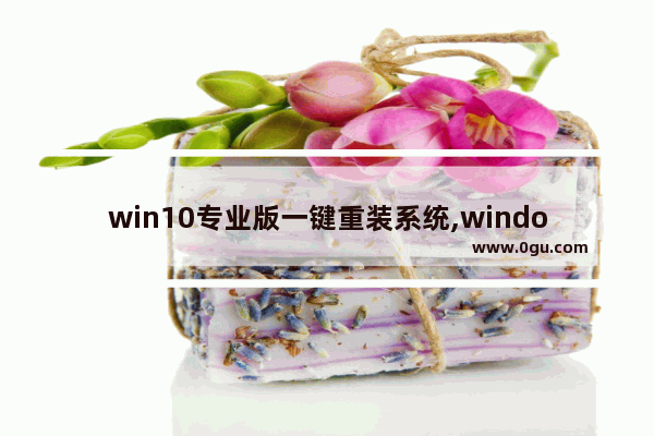 win10专业版一键重装系统,windows10一键安装工具