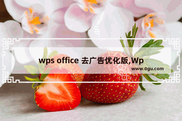 wps office 去广告优化版,Wps去广告