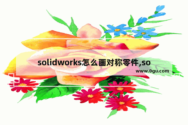 solidworks怎么画对称零件,solidworks内螺纹孔