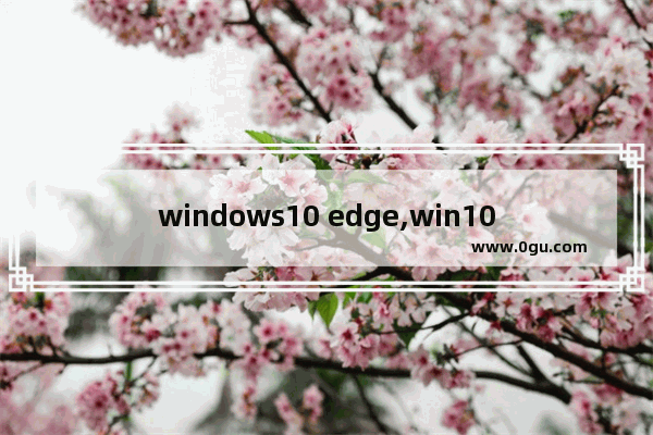 windows10 edge,win10家庭版edge没反应