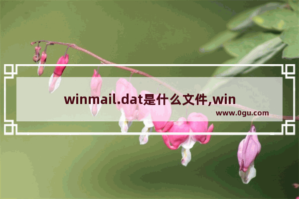 winmail.dat是什么文件,winmail.dat阅读器