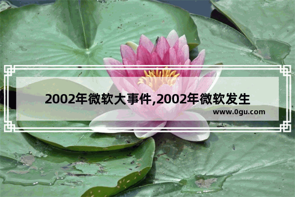 2002年微软大事件,2002年微软发生了什么