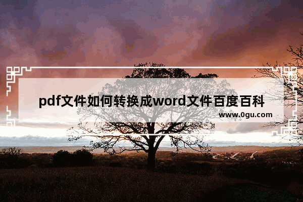 pdf文件如何转换成word文件百度百科,pdf文档如何转换为word