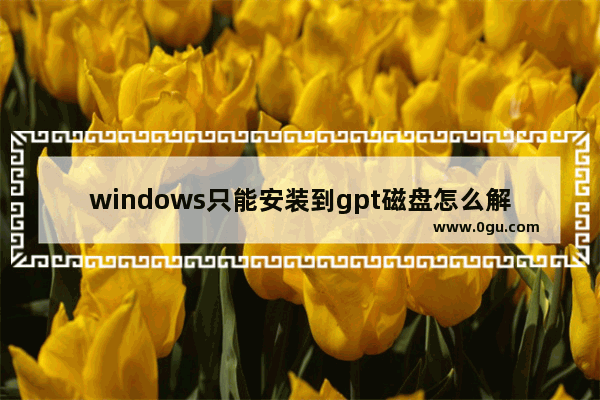 windows只能安装到gpt磁盘怎么解决,w无法安装到这个盘,选用磁盘gpt分区形式