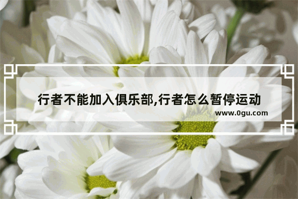 行者不能加入俱乐部,行者怎么暂停运动