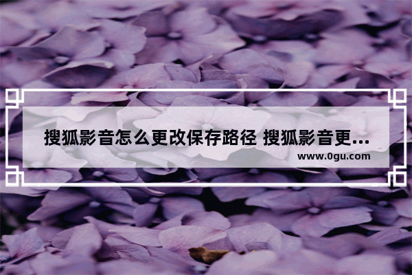 搜狐影音怎么更改保存路径 搜狐影音更改保存路径方法