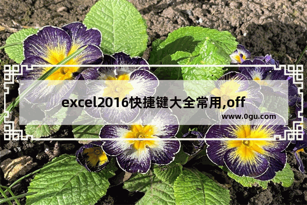 excel2016快捷键大全常用,office2016快捷键一览表