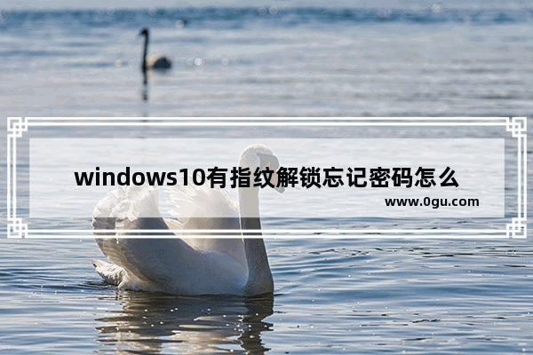 windows10有指纹解锁忘记密码怎么办,win10如何默认指纹解锁