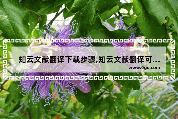 知云文献翻译下载步骤,知云文献翻译可以翻译pdf吗