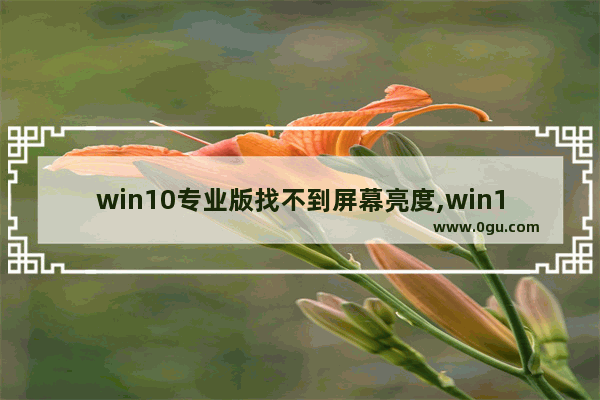 win10专业版找不到屏幕亮度,win10专业版找不到家庭组