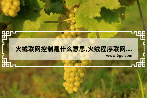 火绒联网控制是什么意思,火绒程序联网在哪儿设置