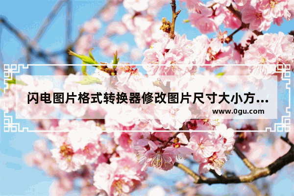 闪电图片格式转换器修改图片尺寸大小方法 闪电图片格式转换器如何修改图片尺寸大小