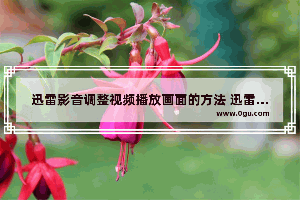 迅雷影音调整视频播放画面的方法 迅雷影音如何设置视频播放画面