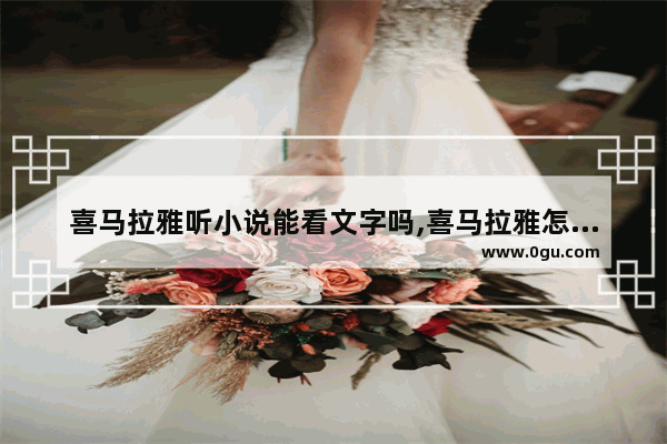 喜马拉雅听小说能看文字吗,喜马拉雅怎么样看小说