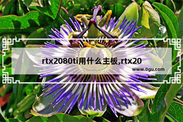 rtx2080ti用什么主板,rtx2070独显怎么样