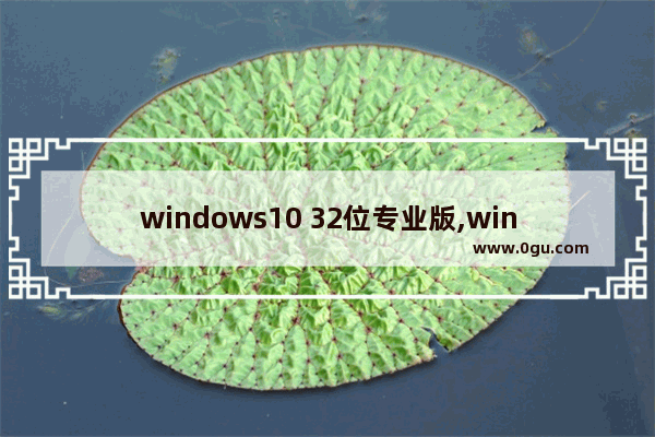 windows10 32位专业版,win1032位旗舰版