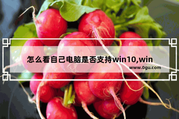 怎么看自己电脑是否支持win10,win10电脑自检