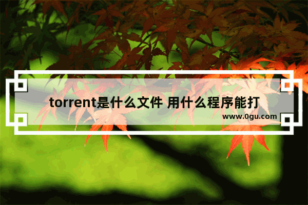 torrent是什么文件 用什么程序能打开 ,什么软件可以打开torrent文件