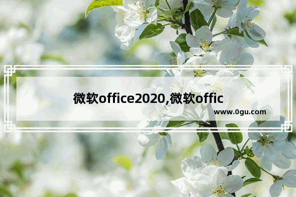 微软office2020,微软office2019和365