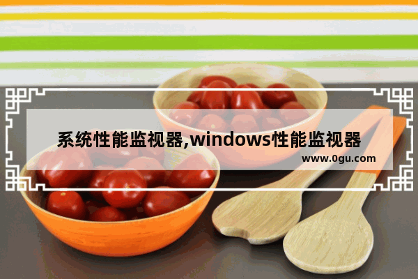 系统性能监视器,windows性能监视器