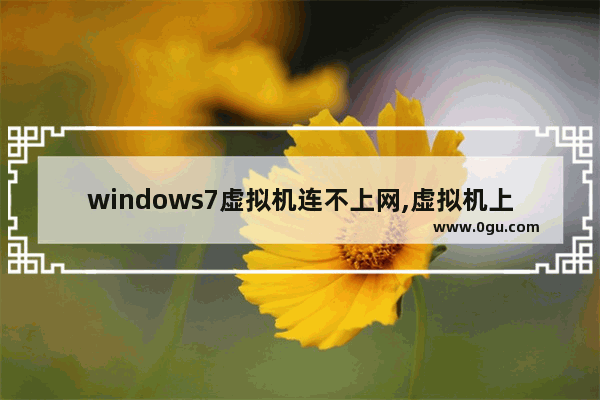 windows7虚拟机连不上网,虚拟机上的windows无法连接网络