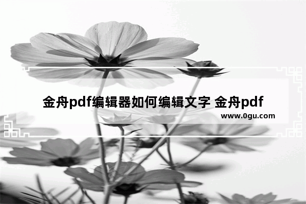 金舟pdf编辑器如何编辑文字 金舟pdf编辑器编辑文字的方法