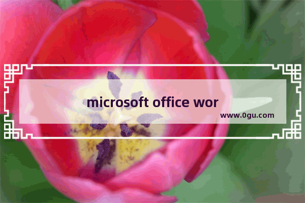 microsoft office word2007已停止工作,windows office word 已停止工作
