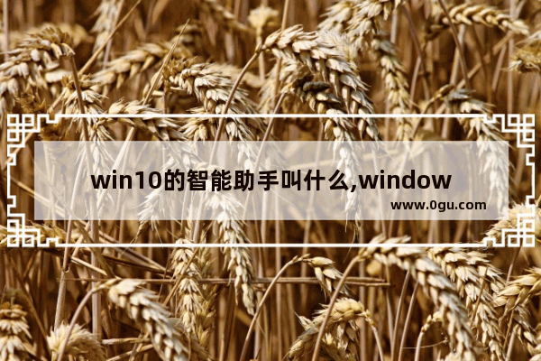 win10的智能助手叫什么,window10智能助理