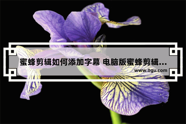 蜜蜂剪辑如何添加字幕 电脑版蜜蜂剪辑添加字幕的方法