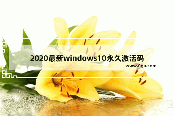 2020最新windows10永久激活码win10专业版密钥win10,windows10专业版激活密钥2019