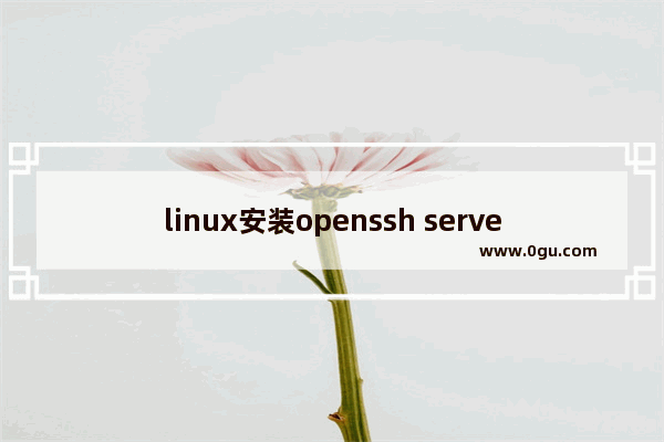 linux安装openssh server,windowsssh连接linux