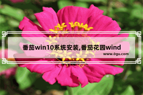 番茄win10系统安装,番茄花园windows7怎么安装