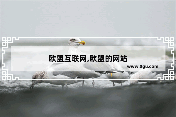 欧盟互联网,欧盟的网站
