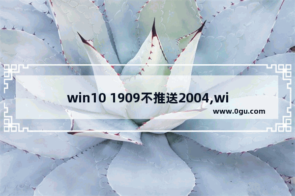 win10 1909不推送2004,win10 1909什么时候到期