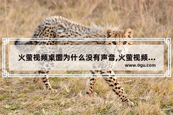 火萤视频桌面为什么没有声音,火萤视频桌面电脑版不显示