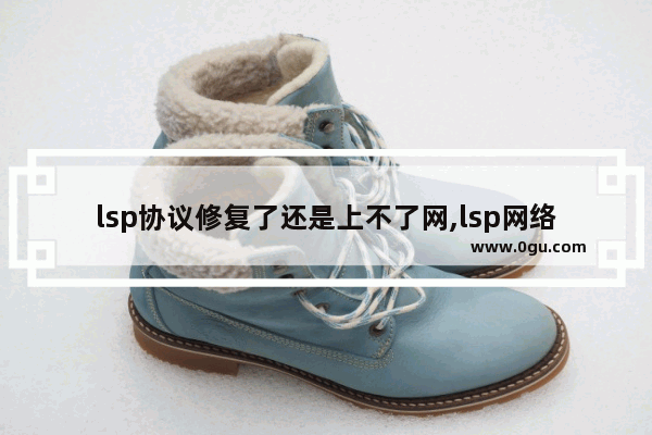 lsp协议修复了还是上不了网,lsp网络怎么修复
