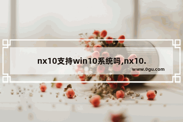 nx10支持win10系统吗,nx10.0安装不了