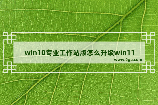 win10专业工作站版怎么升级win11,windows10专业版升级专业工作站