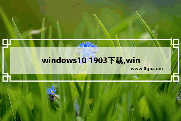windows10 1903下载,win10 1903
