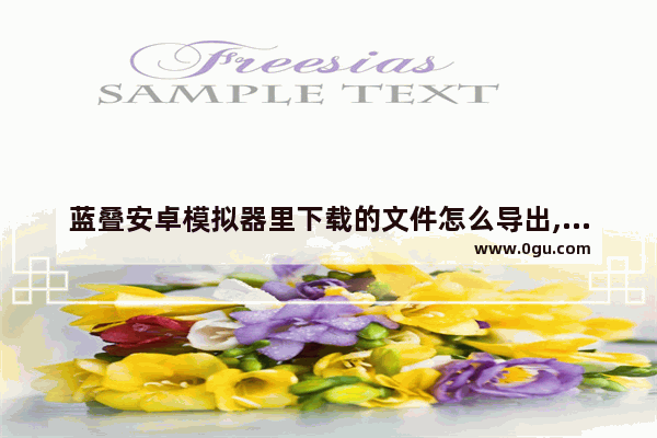 蓝叠安卓模拟器里下载的文件怎么导出,蓝叠模拟器安装的apk在哪
