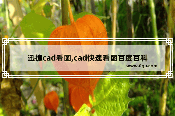 迅捷cad看图,cad快速看图百度百科