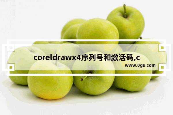 coreldrawx4序列号和激活码,coreldraw x4怎么激活