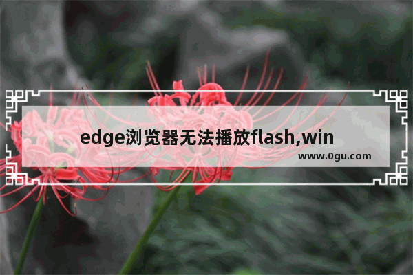 edge浏览器无法播放flash,win10下载flash还是看不了视频