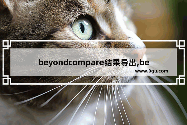 beyondcompare结果导出,beyondcompare导出差异文件名