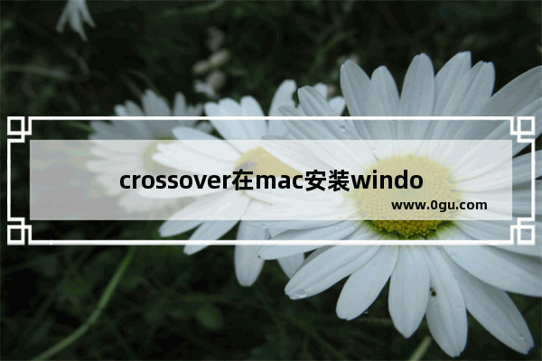 crossover在mac安装windows软件,如何用crossover安装软件