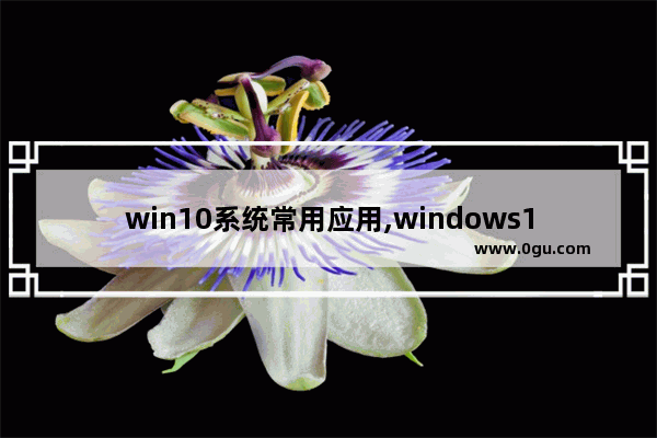 win10系统常用应用,windows10支持的应用程序