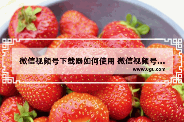 微信视频号下载器如何使用 微信视频号下载器的使用方法